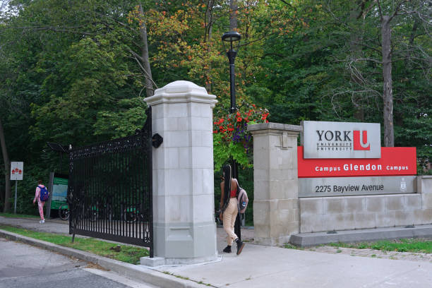 York University International Scholarship In Canada 2024
