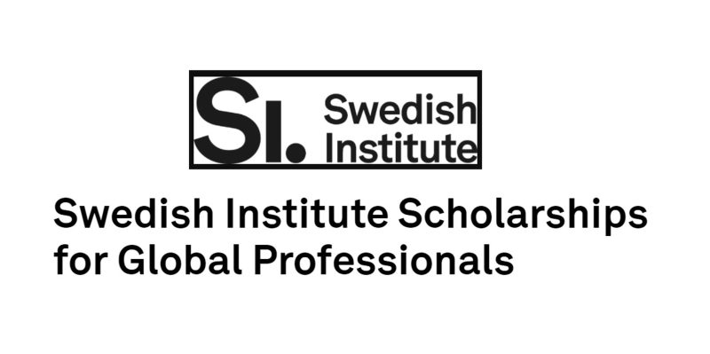 2024 Swedish Ministry of Foreign Affairs: SI Scholarship for Global Professionals