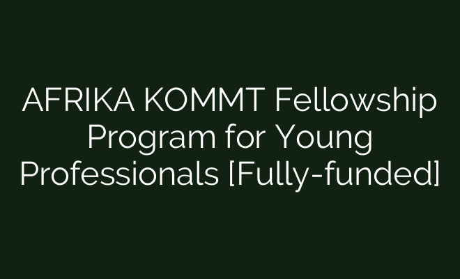The AFRIKA KOMMT Fellowship Program for Young Professionals