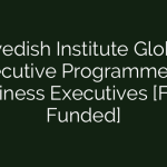 The Swedish Institute's Global Executive Program for Business Executives