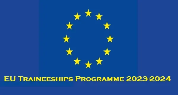 2024–2025 EU Traineeships Program