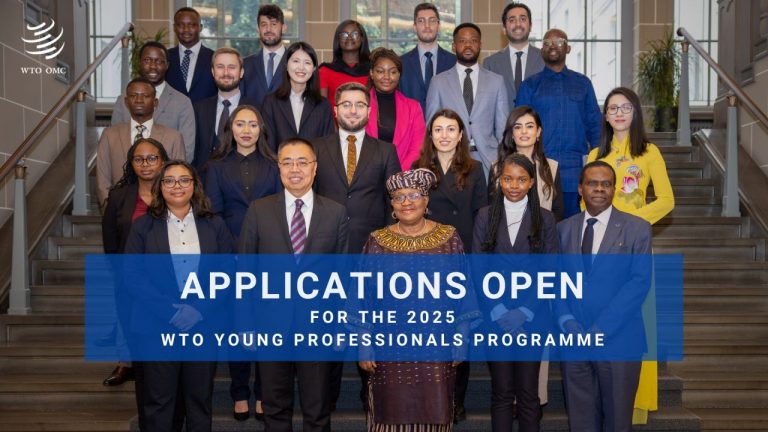 Program for Young Professionals at UN 2025