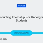 wipfli-2024-accounting-internship-for-undergraduate-masters-students