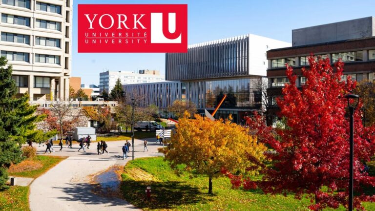 Scholarships for York University Admission to Study in Canada in 2025