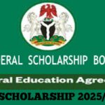 Scholarships from the Federal Government (BEA) to Study Abroad 2025–2026