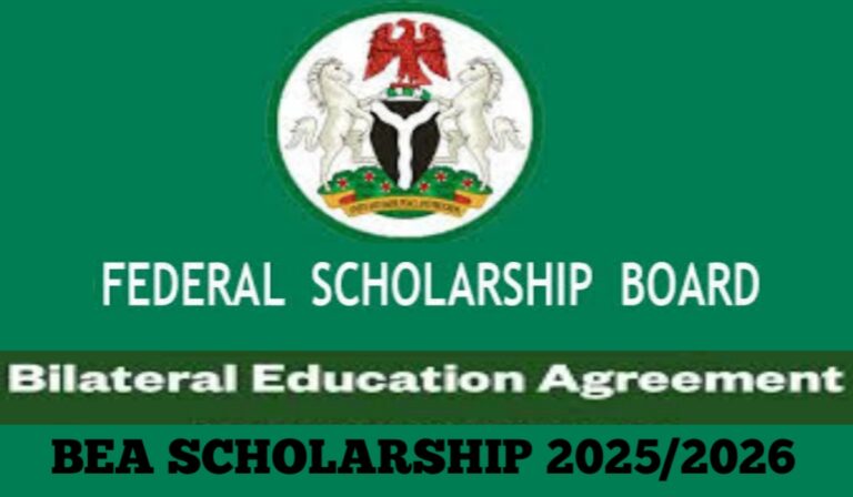 Scholarships from the Federal Government (BEA) to Study Abroad 2025–2026