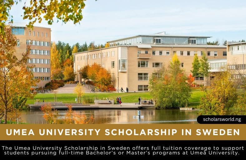 Design by Umeå Scholarships for International Students 2025/2026